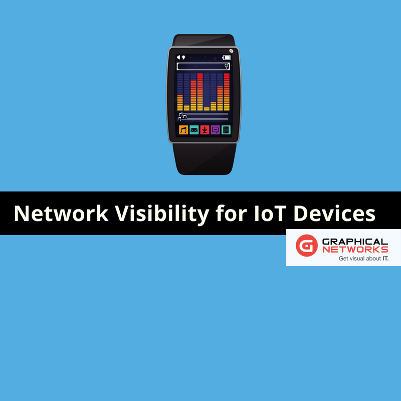 Network Visibility for IoT Devices