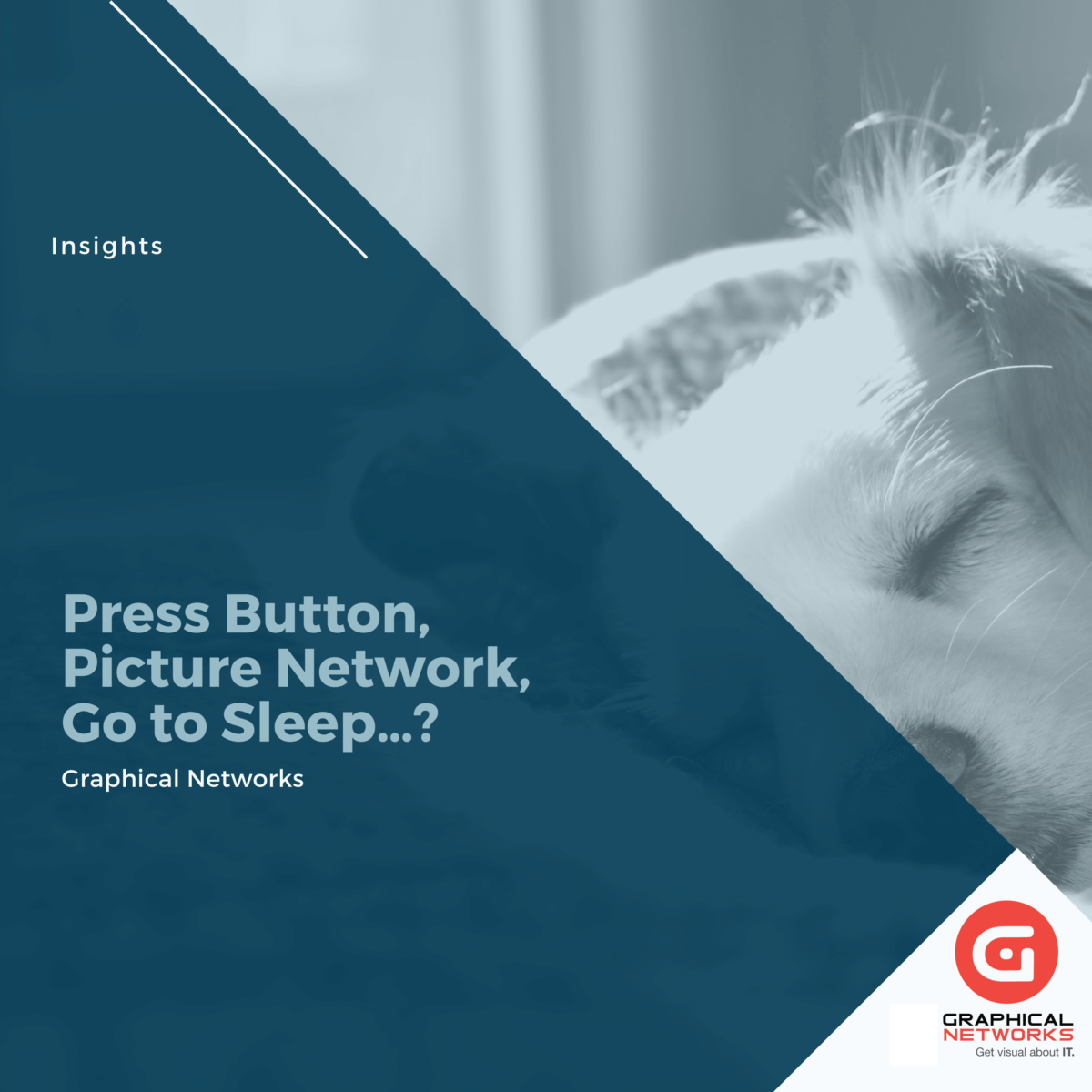 Press Button, Picture Network, Go to Sleep…?