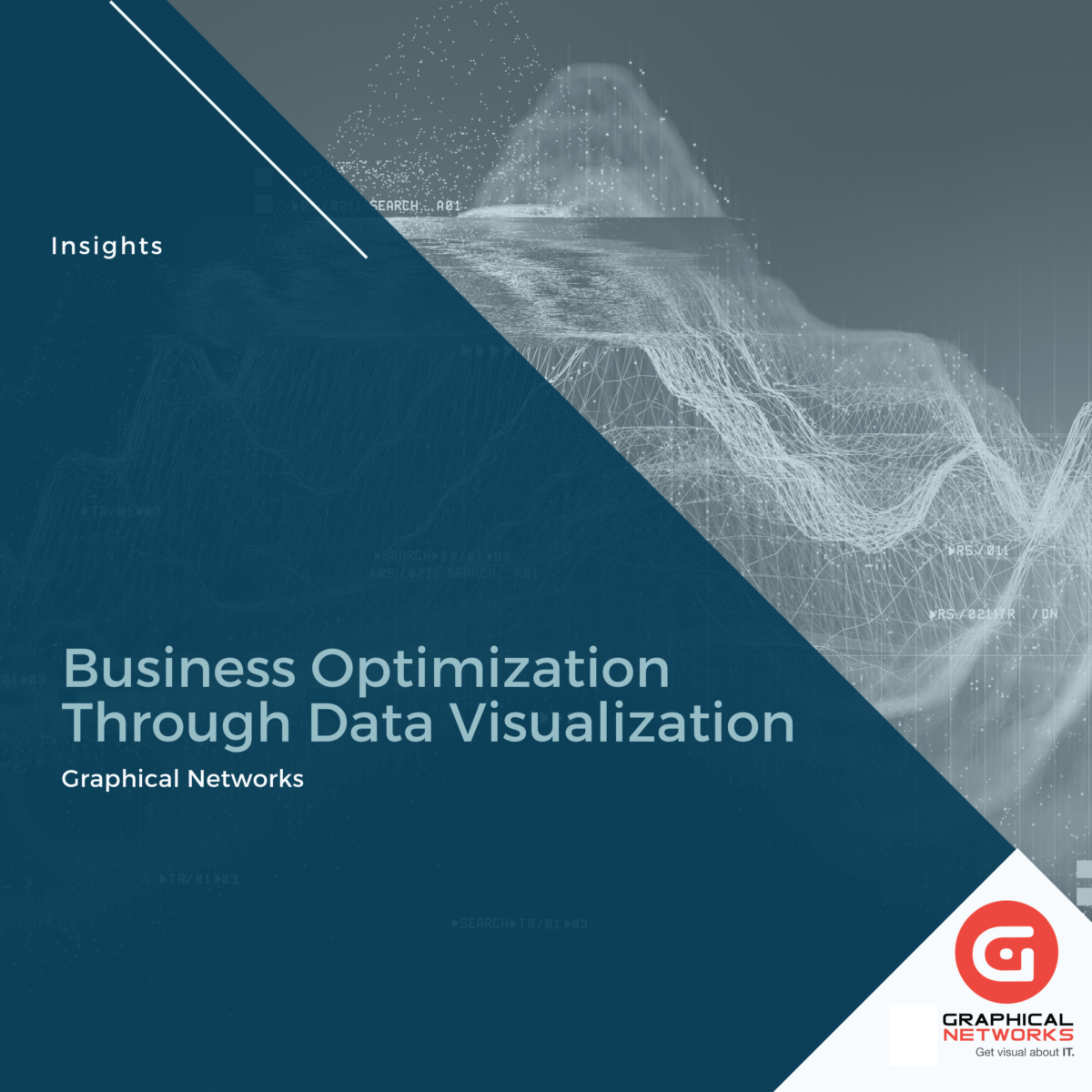 Business Optimization Through Data Visualization