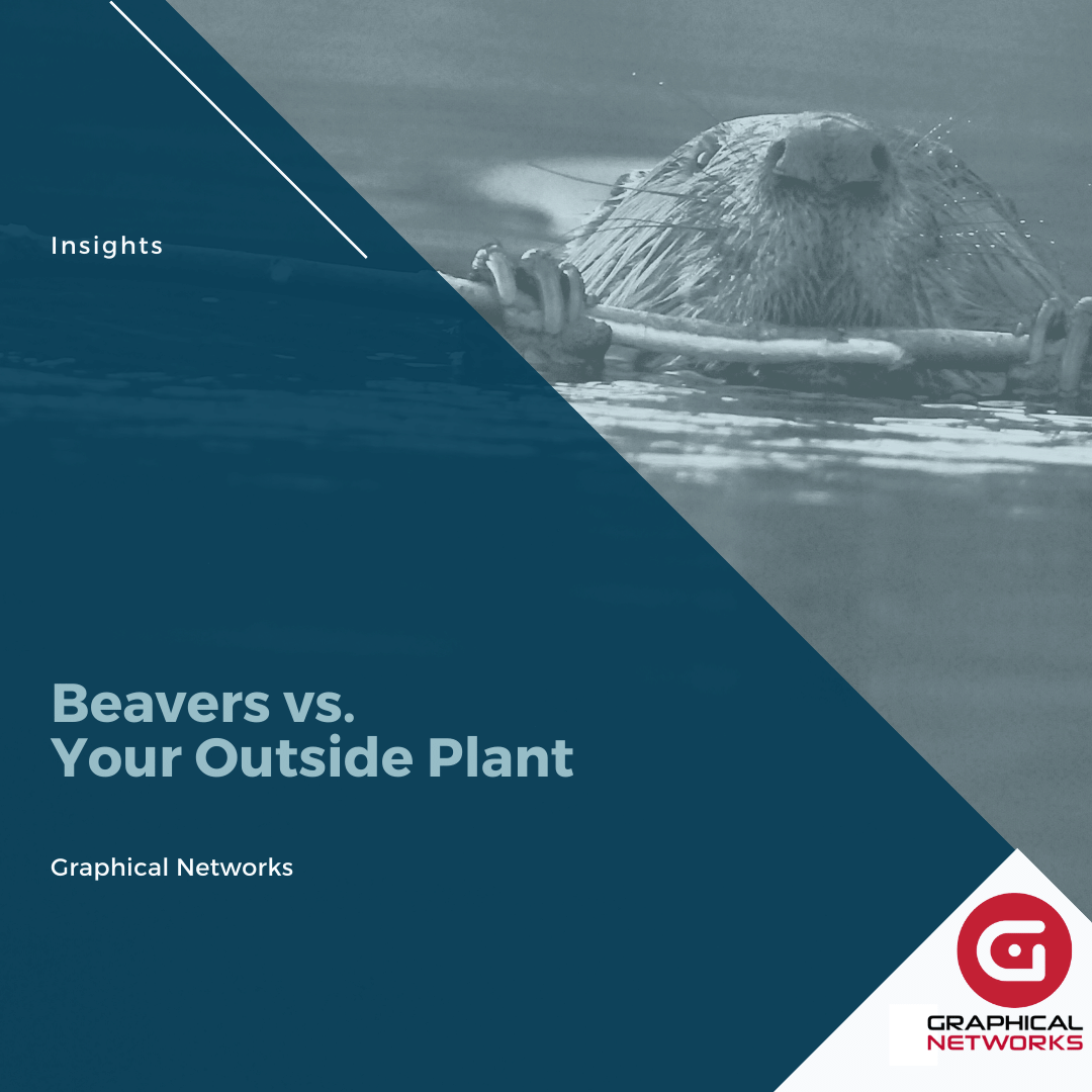 Beavers vs. Your Outside Plant