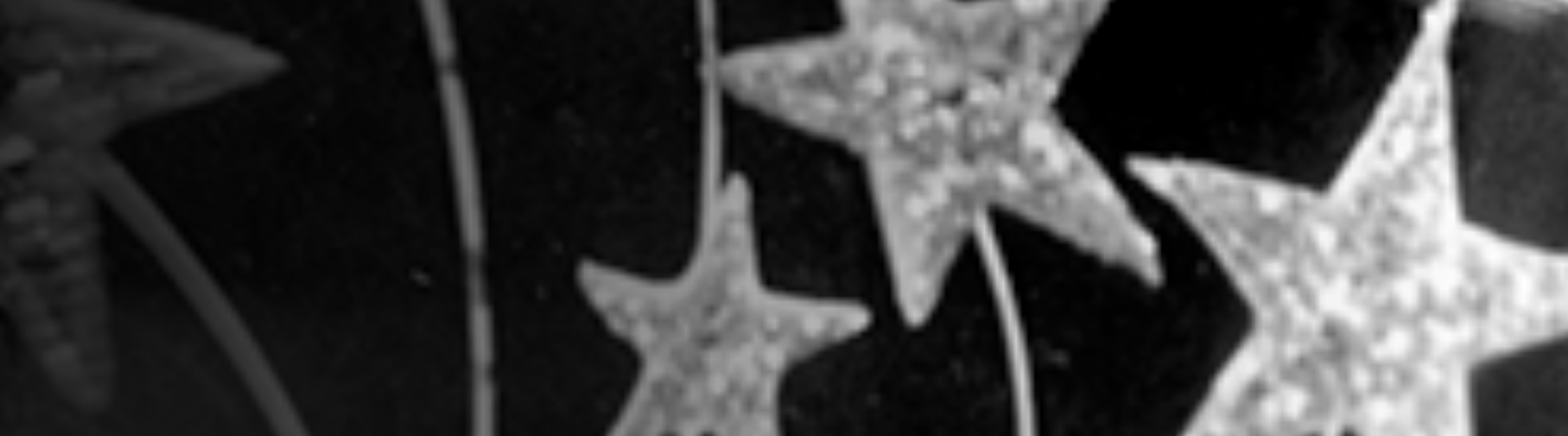 netTerrain 10.1 Air-Blown Fiber